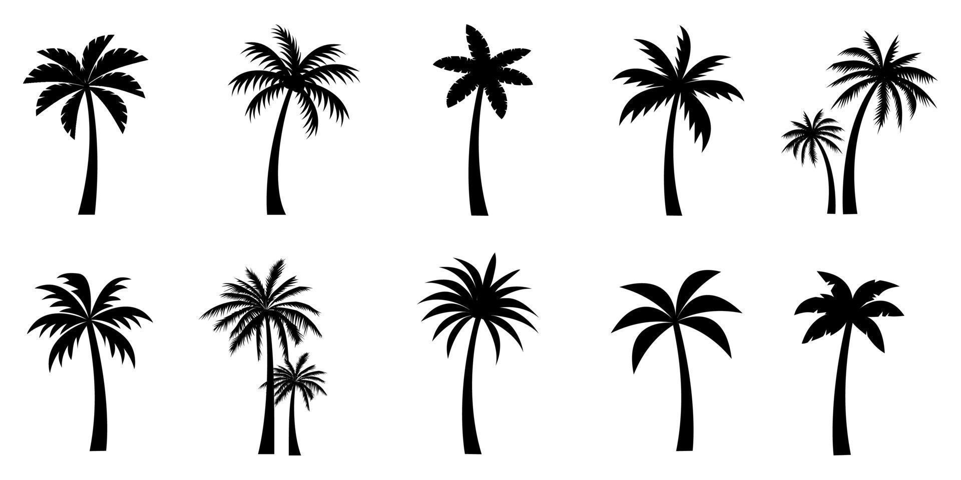collezione di nero Noce di cocco o palma alberi icona. può essere Usato per illustrare qualunque natura o salutare stile di vita argomento. vettore