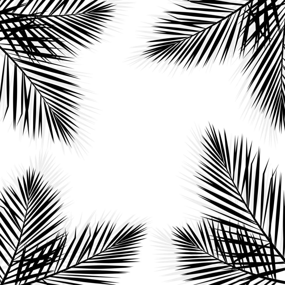 vettore isolato tropicale senza soluzione di continuità modello con nero palma le foglie su un' bianca sfondo.