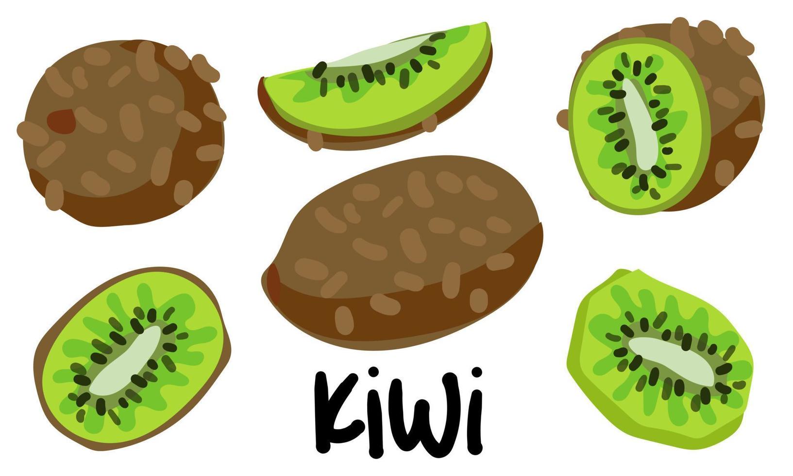 un' impostato di Kiwi nel diverso versioni è totale e nel sezione. Kiwi tritato, metà. sbucciare kiwi, verde frutta. tropicale frutta, Kiwi spuntini o vegetariano pasti. icona impostato isolato vettore illustrazioni