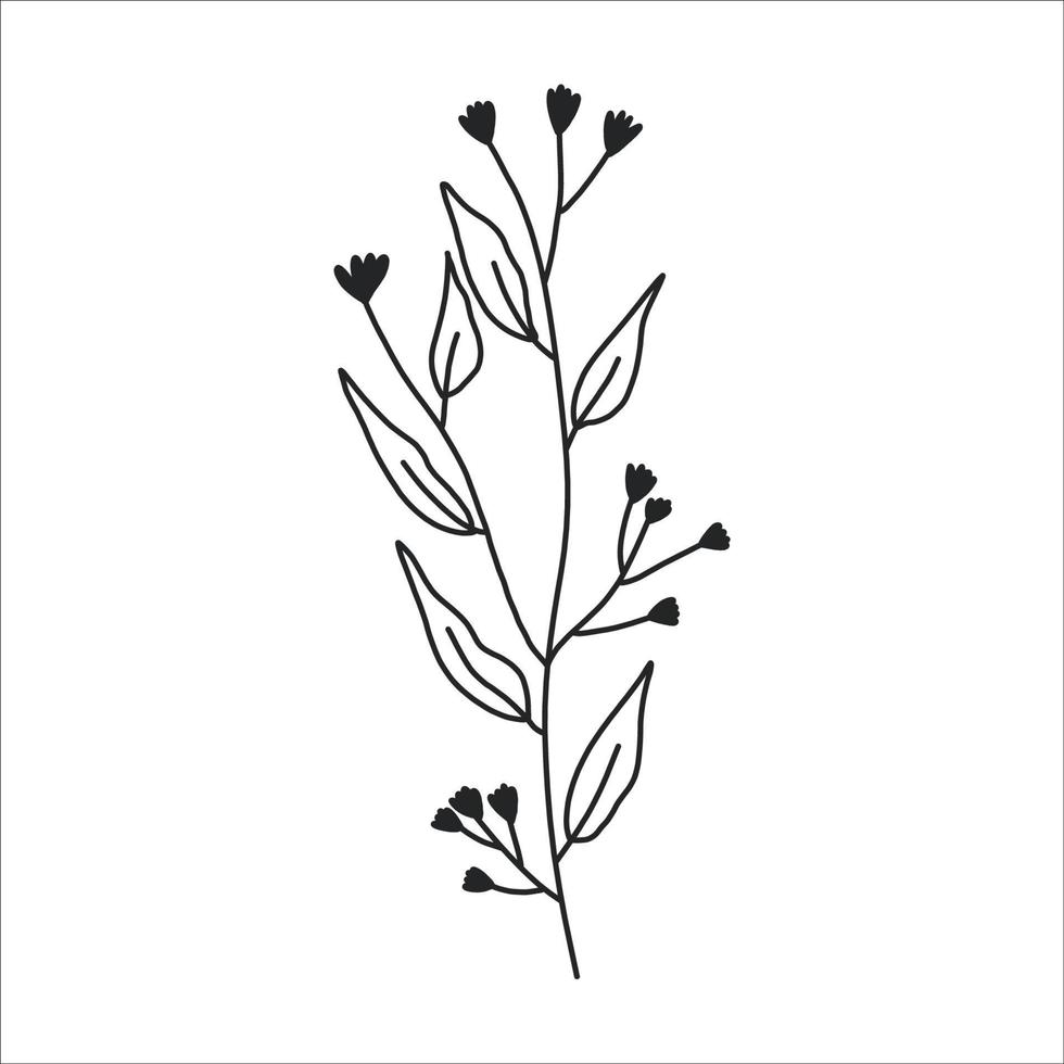 nero silhouette di un' pianta ramo. fiore ramo nel schema stile mano disegnato su isolato bianca sfondo. vettore azione illustrazione. tropicale le foglie. minimo linea arte per Stampa, copertina o tatuaggio.