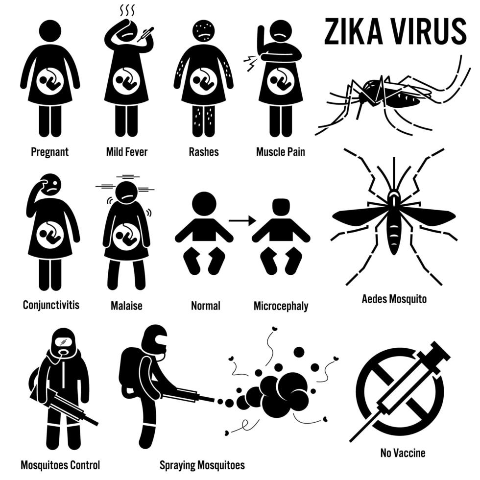 zika virus aedes mosquito stick figure pittogrammi icone. vettore
