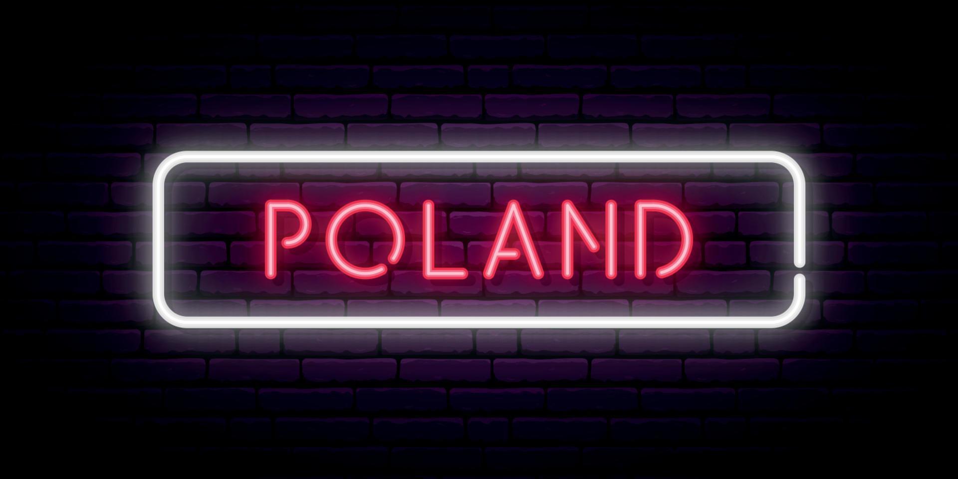 Polonia neon cartello. luminosa leggero cartello. vettore