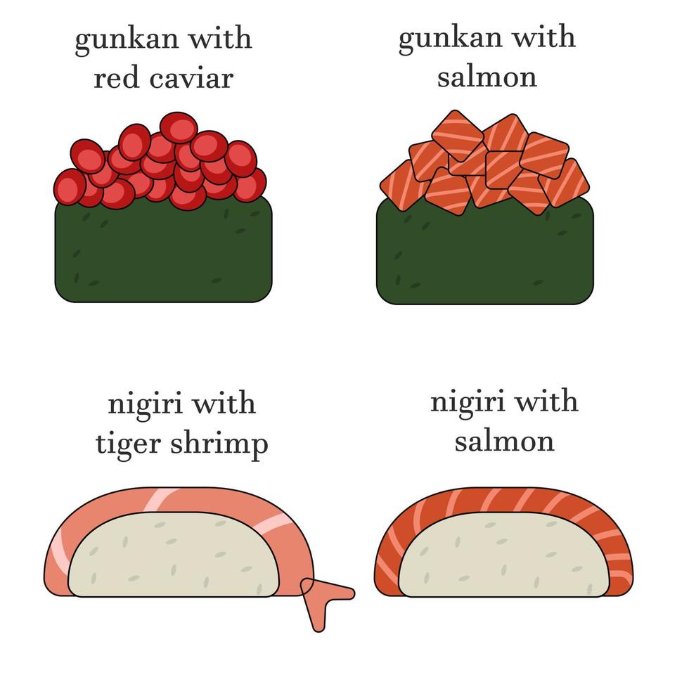 impostato di diverso tipi di cannone e nigiri con nomi. illustrazione con asiatico cibo icone vettore