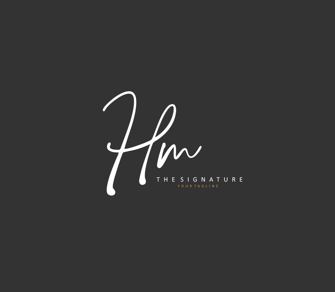 h m hm iniziale lettera grafia e firma logo. un' concetto grafia iniziale logo con modello elemento. vettore