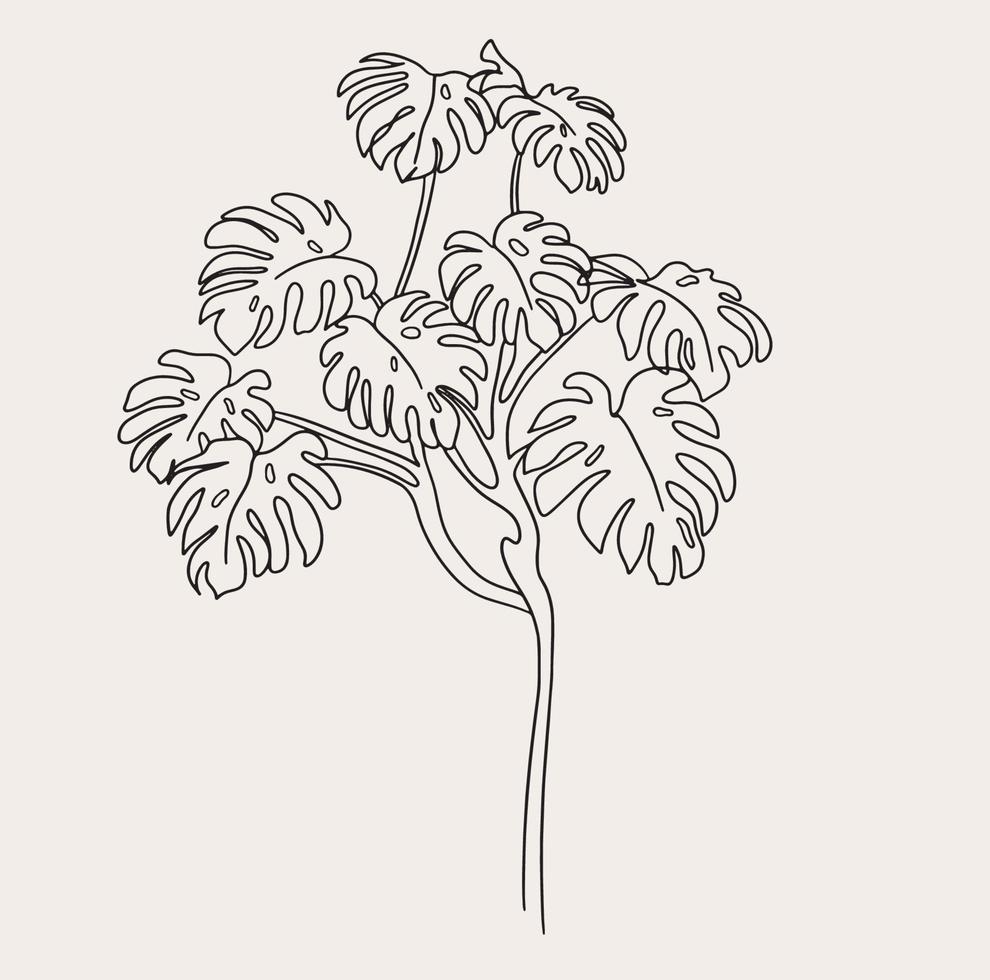 minimalista Monstera linea arte, semplice pianta disegno, nero bianca, fiore vettore