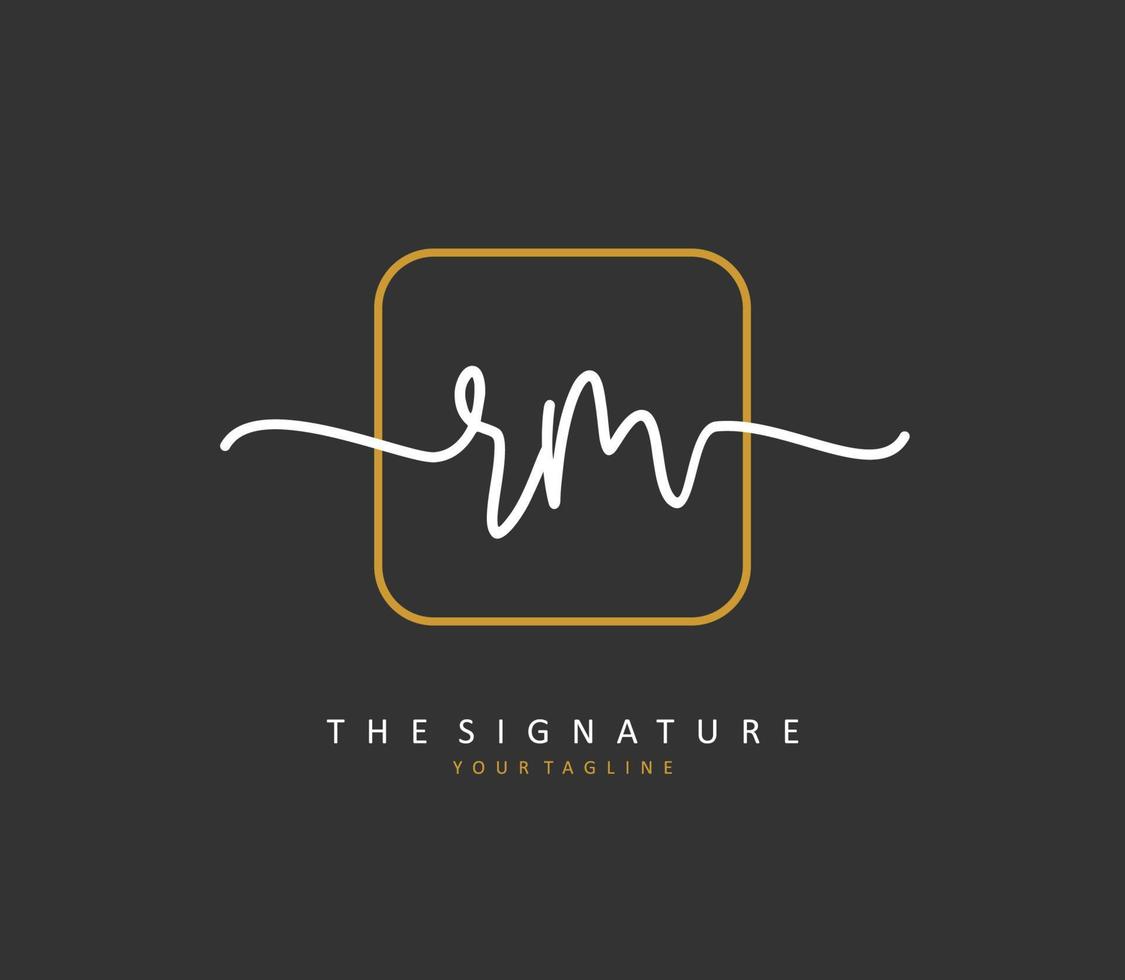 r m rm iniziale lettera grafia e firma logo. un' concetto grafia iniziale logo con modello elemento. vettore
