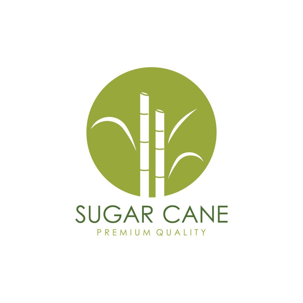 naturale dolce zucchero canna pianta logo modello. vettore
