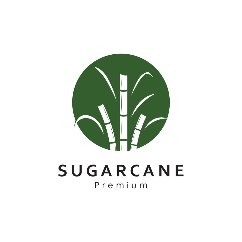 naturale dolce zucchero canna pianta logo modello. vettore
