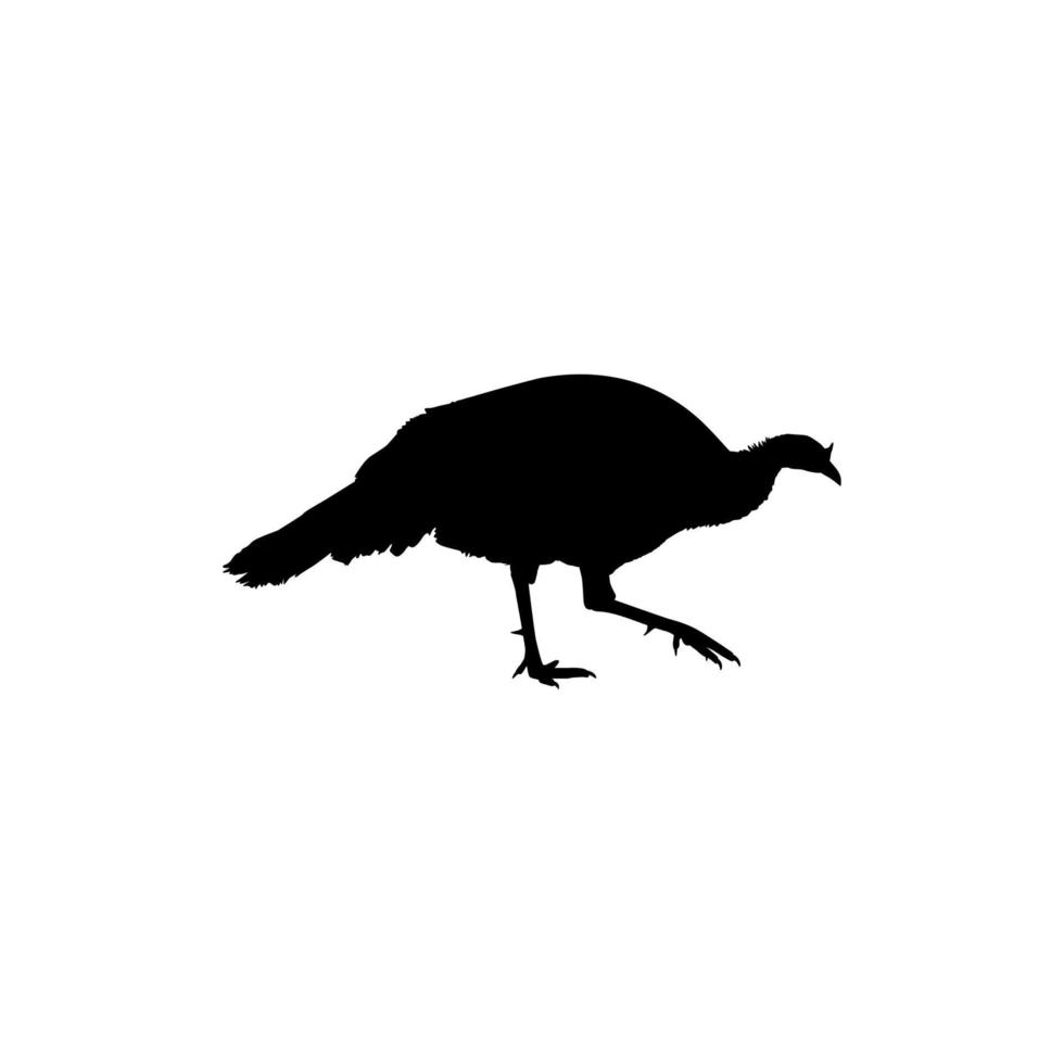 tacchino silhouette per arte illustrazione, pittogramma o grafico design elemento. il tacchino è un' grande uccello nel il genere meleagris. vettore illustrazione
