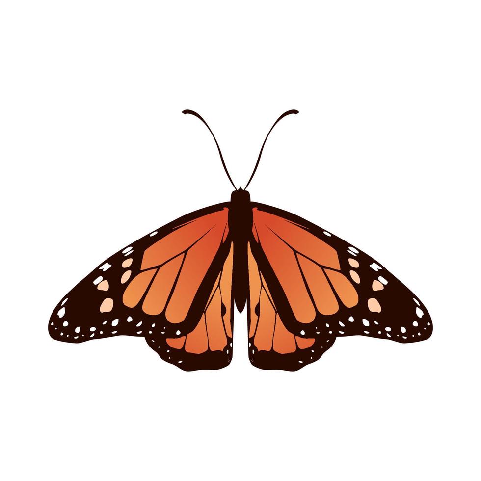 collezione di realistico farfalla vettore illustrazione design