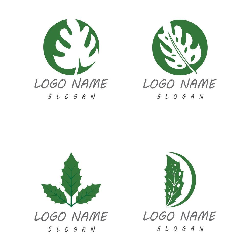 monstera leaf logo disegno vettoriale