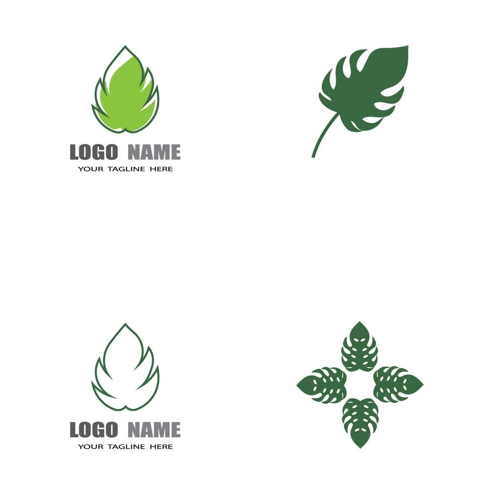 monstera leaf logo disegno vettoriale