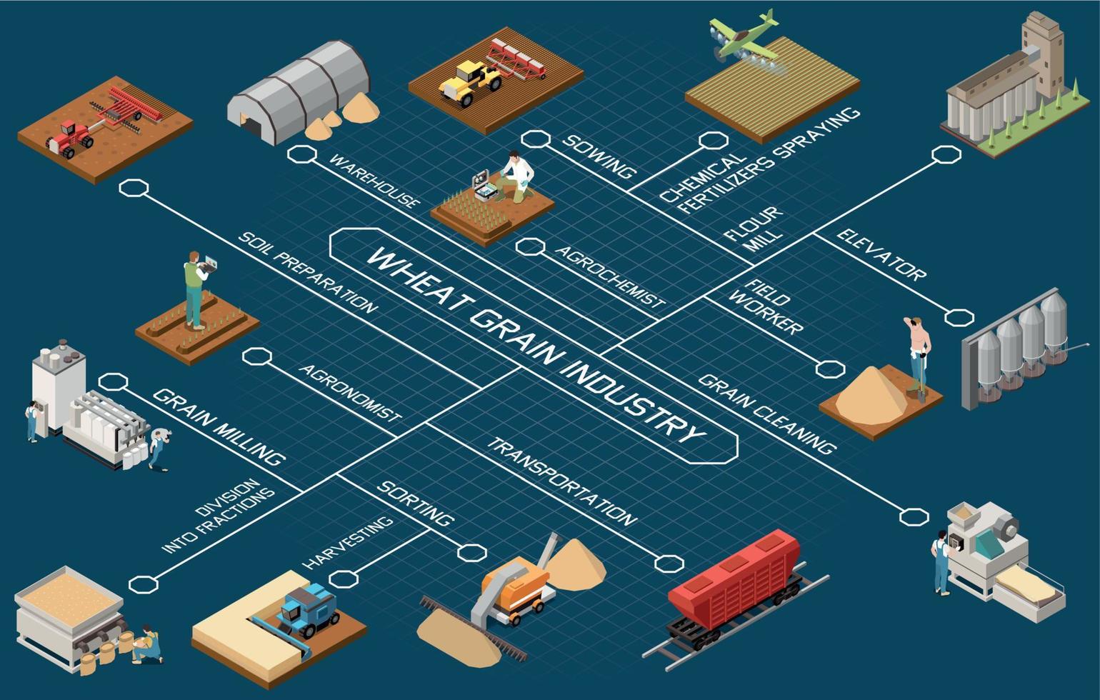 Grano grano industria isometrico diagramma di flusso vettore