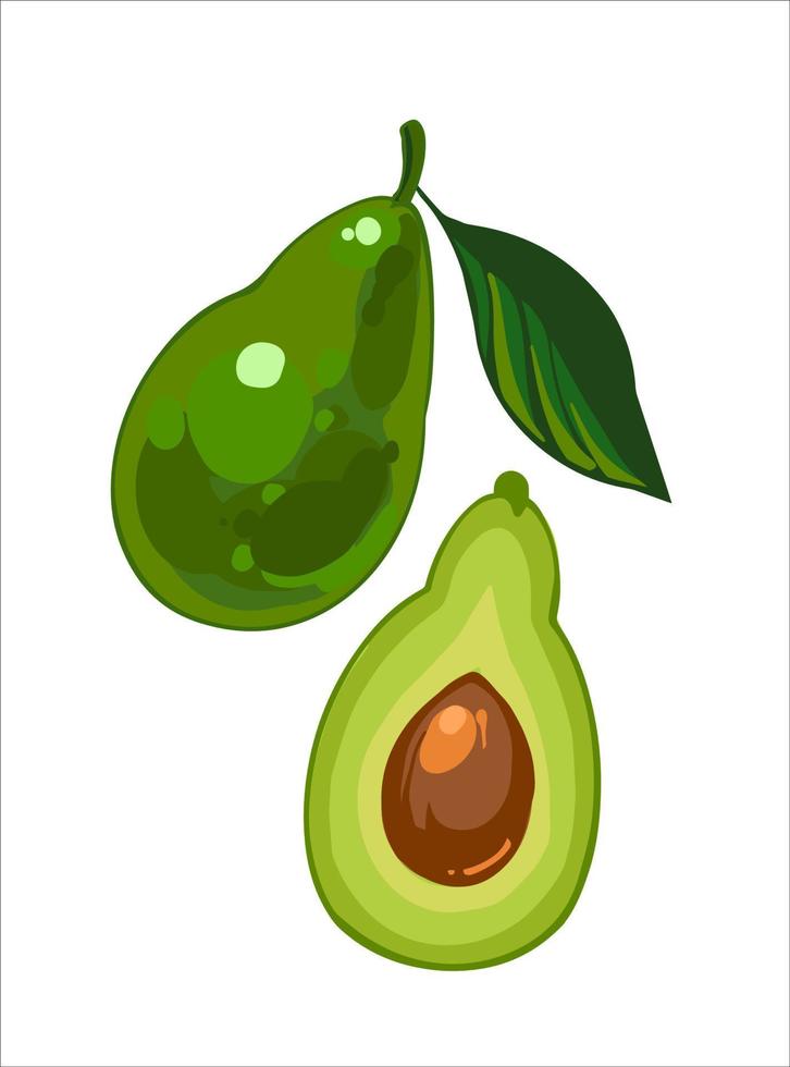 maturo avocado con verde foglia e metà un avocado con seme, mano disegnato vettore illustrazione isolato su bianca sfondo. fresco cartone animato verdura. impostato di illustrazioni.