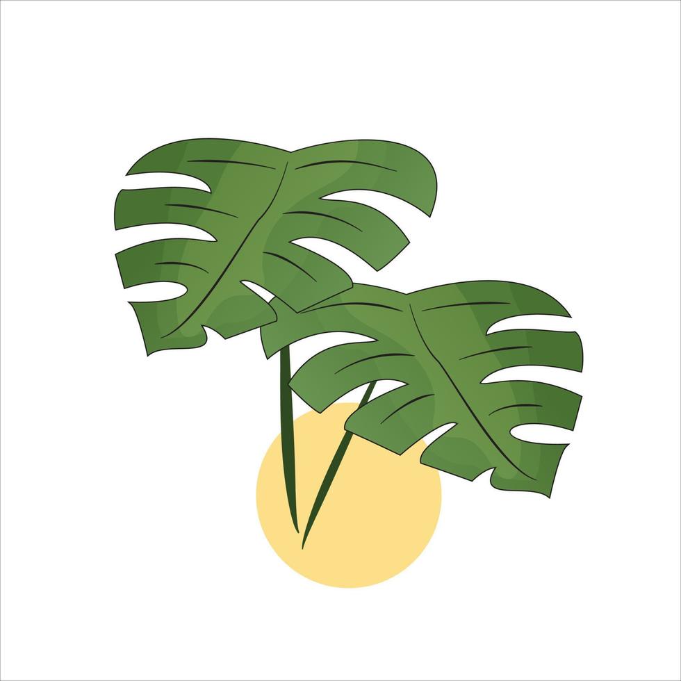 mano disegna Monstera le foglie logo design vettore