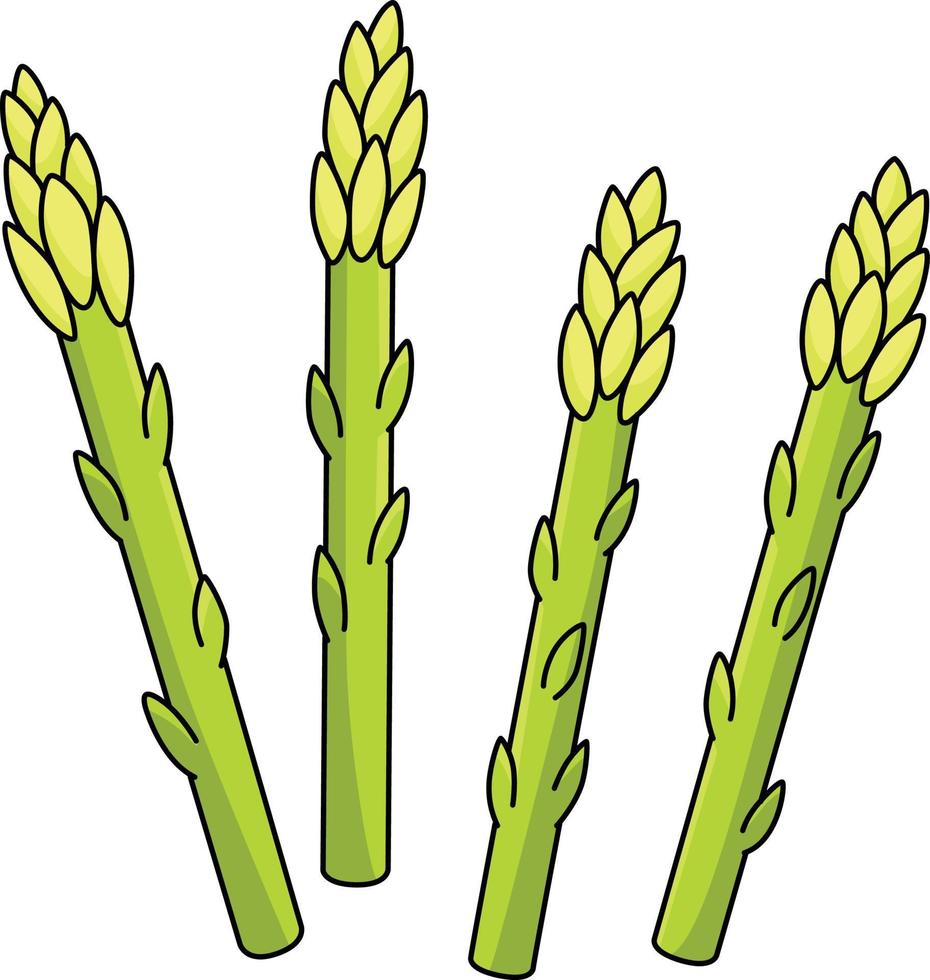 asparago verdura cartone animato colorato clipart vettore