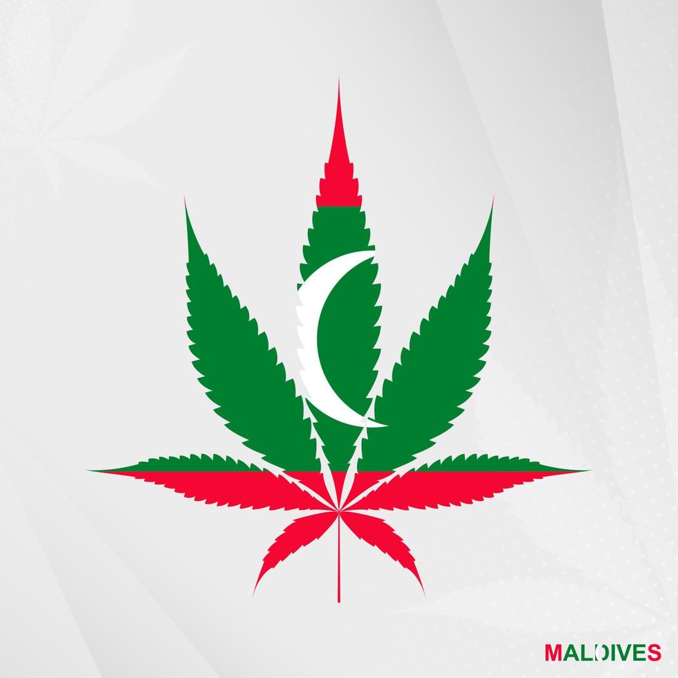 bandiera di Maldive nel marijuana foglia forma. il concetto di legalizzazione canapa nel Maldive. vettore