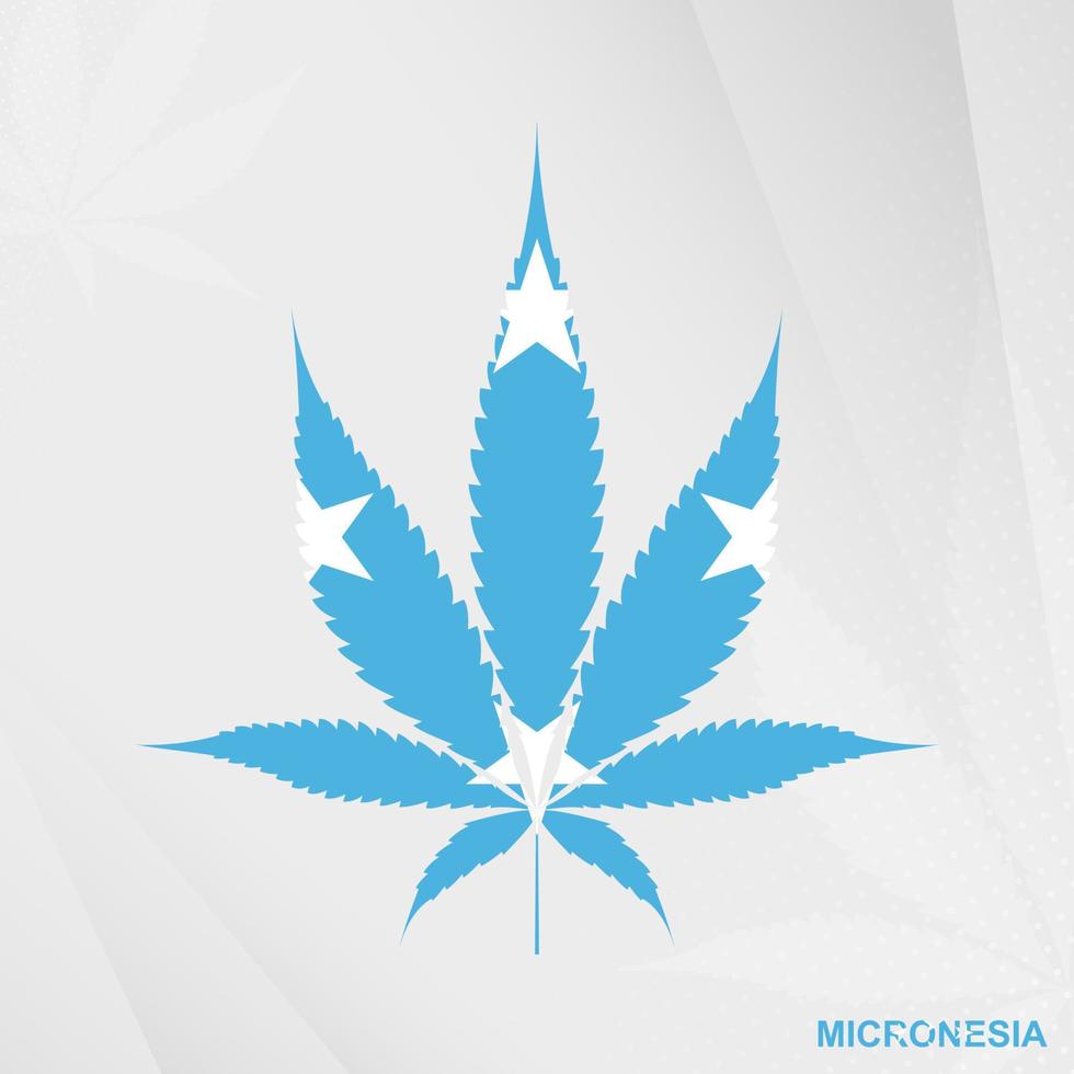 bandiera di micronesia nel marijuana foglia forma. il concetto di legalizzazione canapa nel micronesia. vettore