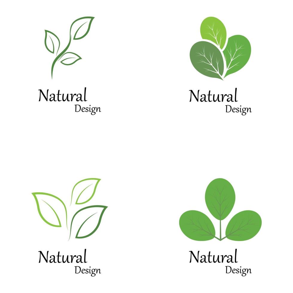 modello di logo foglia verde natura vettore