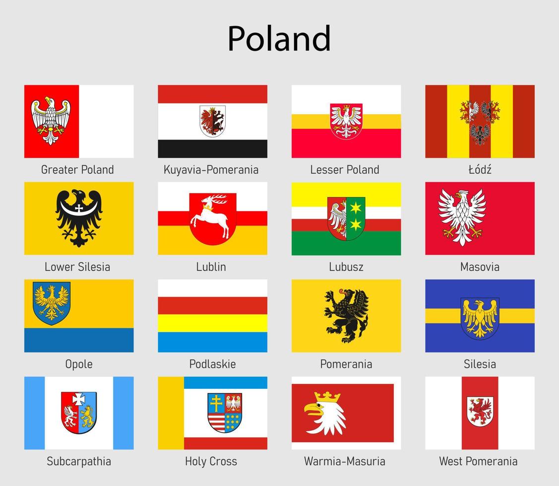 impostato bandiere di il voivodati di Polonia, tutti polacco regioni bandiera vettore