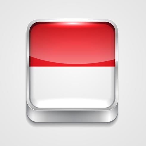 bandiera dell'indonesia vettore