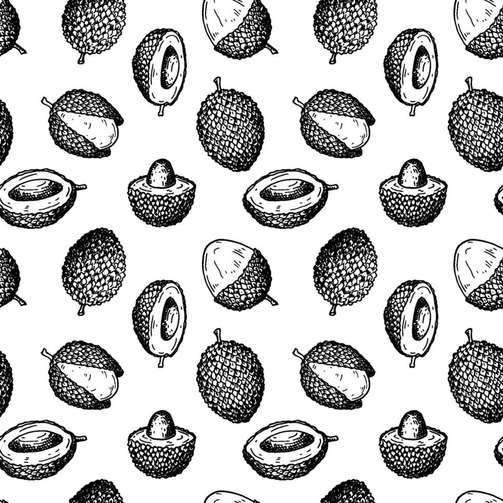 Reticolo senza giunte di frutta litchi disegnati a mano. illustrazione vettoriale in stile schizzo botanico