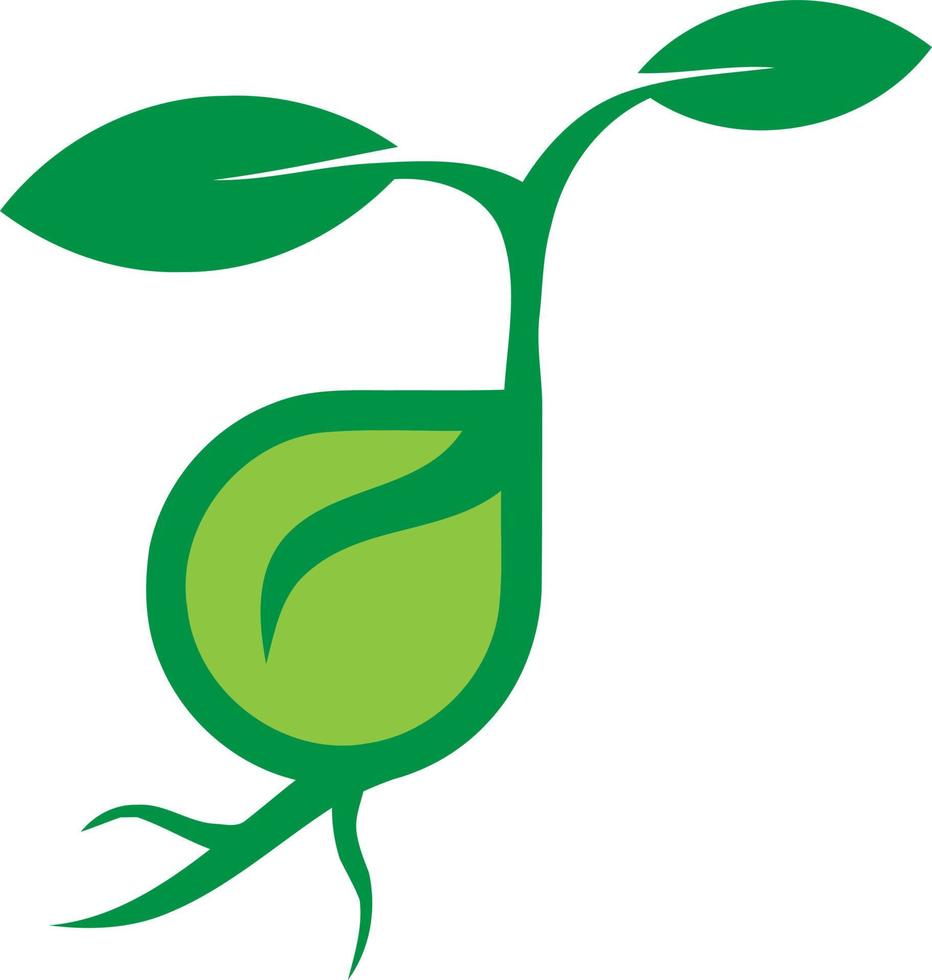 logo della pianta biologica vettore