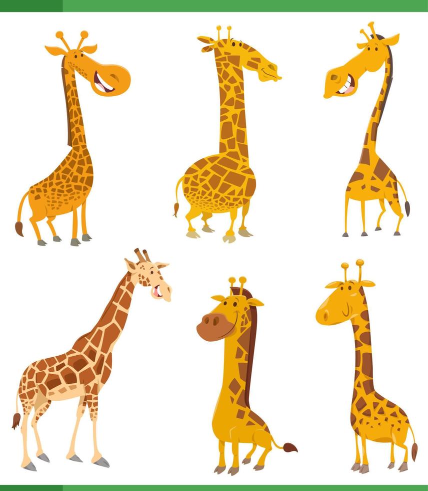 divertente cartone animato giraffe selvaggio animale personaggi impostato vettore