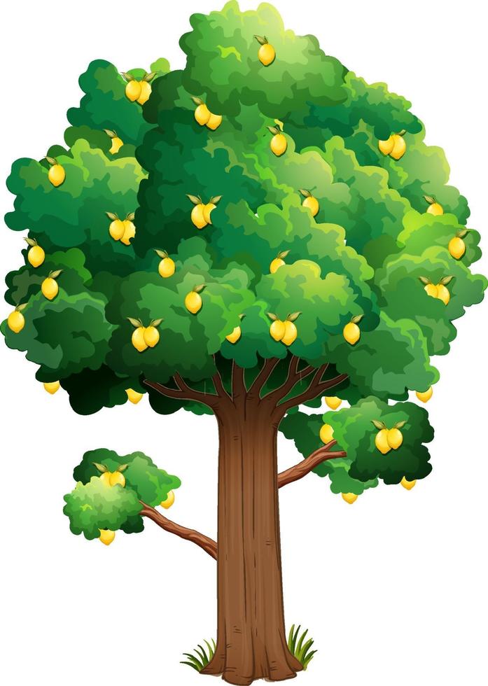 albero di limone nello stile del fumetto isolato su priorità bassa bianca vettore