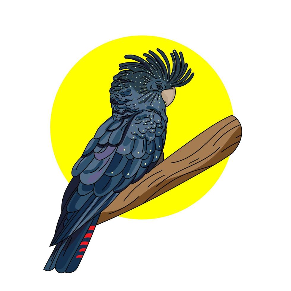 colore vettore illustrazione di nero cacatua isolato su bianca sfondo