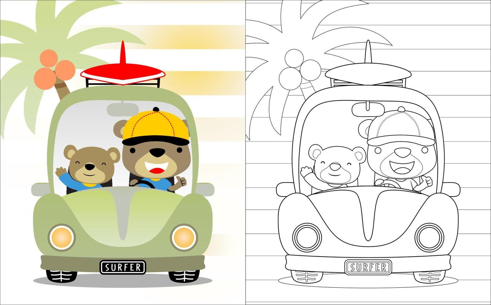 Due carino orso cartone animato su auto trasporto tavola da surf, colorazione libro o pagina vettore