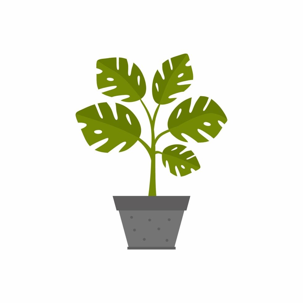 illustrazioni vettoriali piatte di foglia di monstera con pentola. piante d'appartamento decorative in vaso per interni per la decorazione di interni di casa o ufficio, icone floreali da giardino verde isolate su sfondo bianco