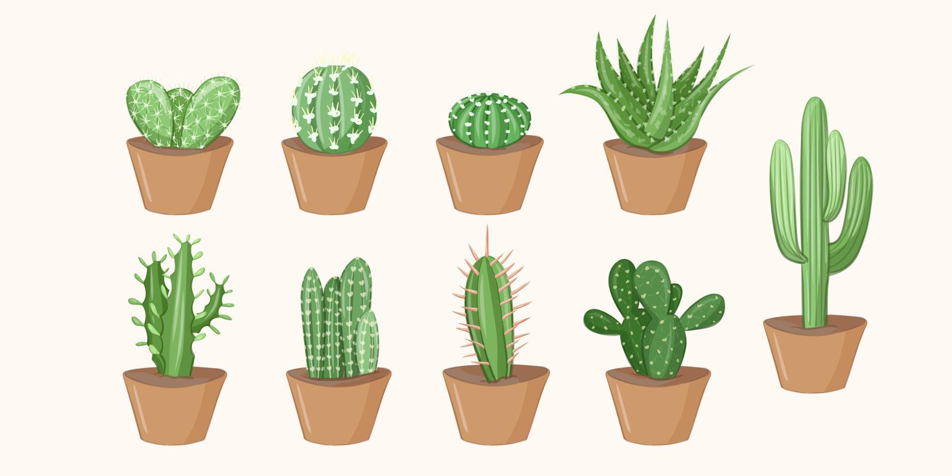 vario verde cactus impostato in vaso pianta casa arredamento Casa pianta natura vettore