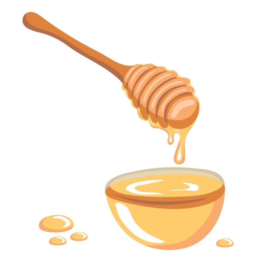 fresco Miele. miele gocciolante a partire dal un' di legno miele mestolo su tazza isolato su bianca sfondo vettore