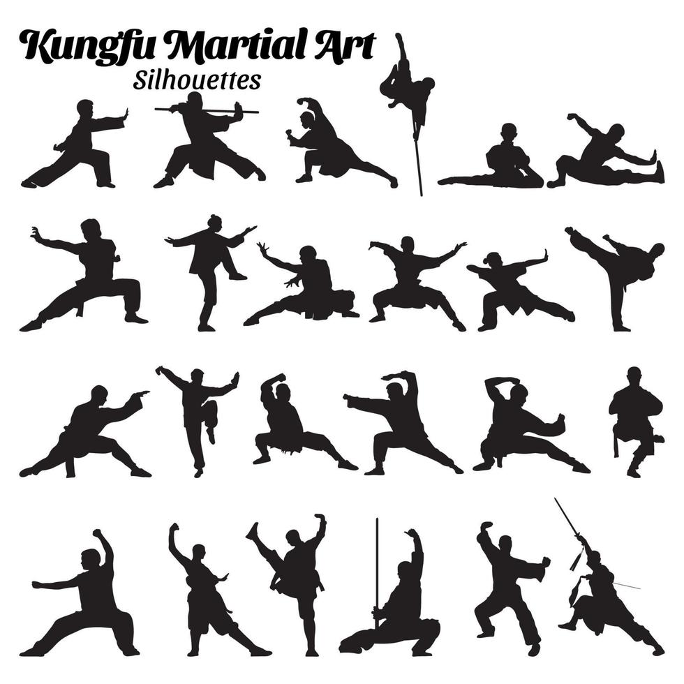 illustrazione di kung fu marziale arti vettore impostare.