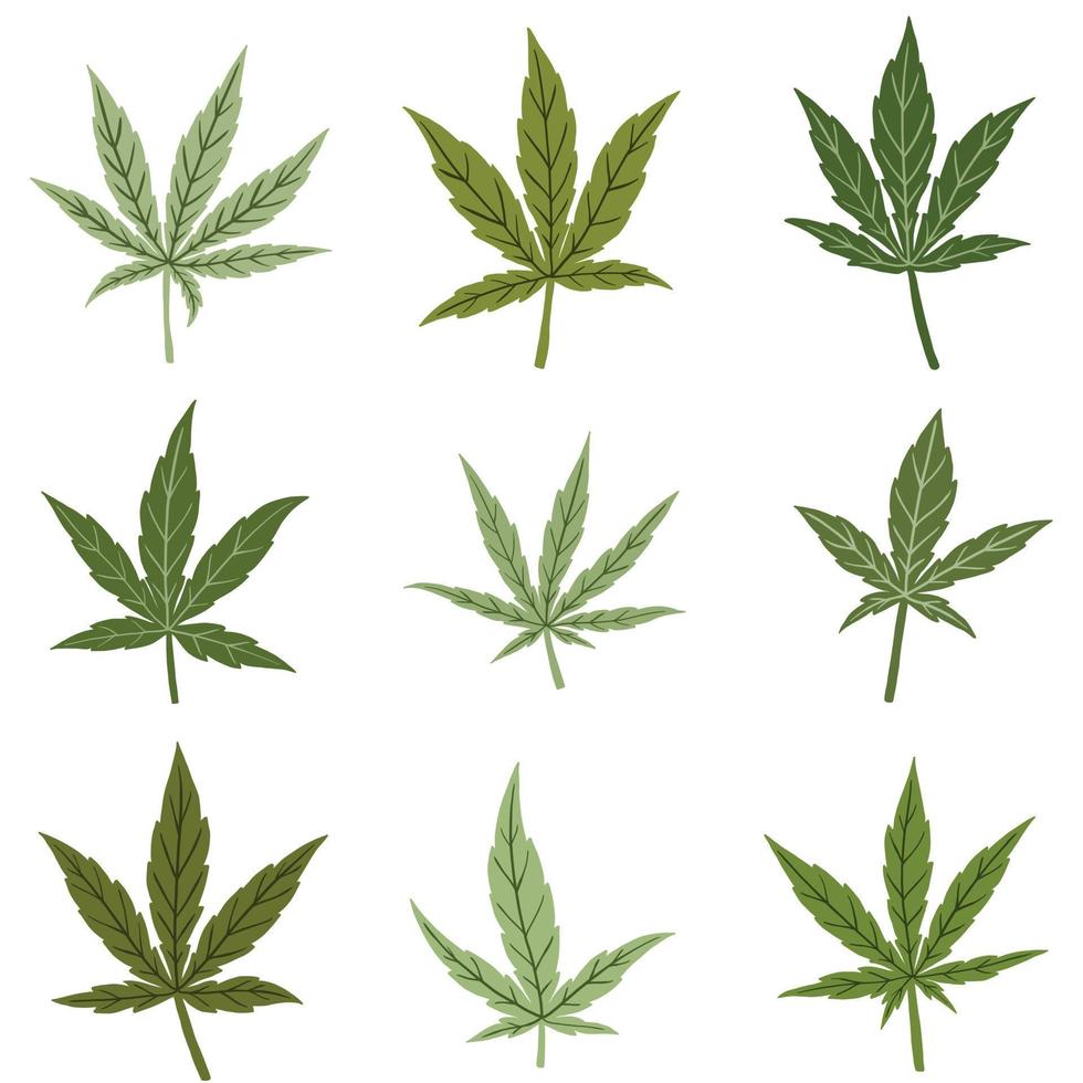 semplicità foglia di cannabis disegno a mano libera collezione di design piatto. vettore