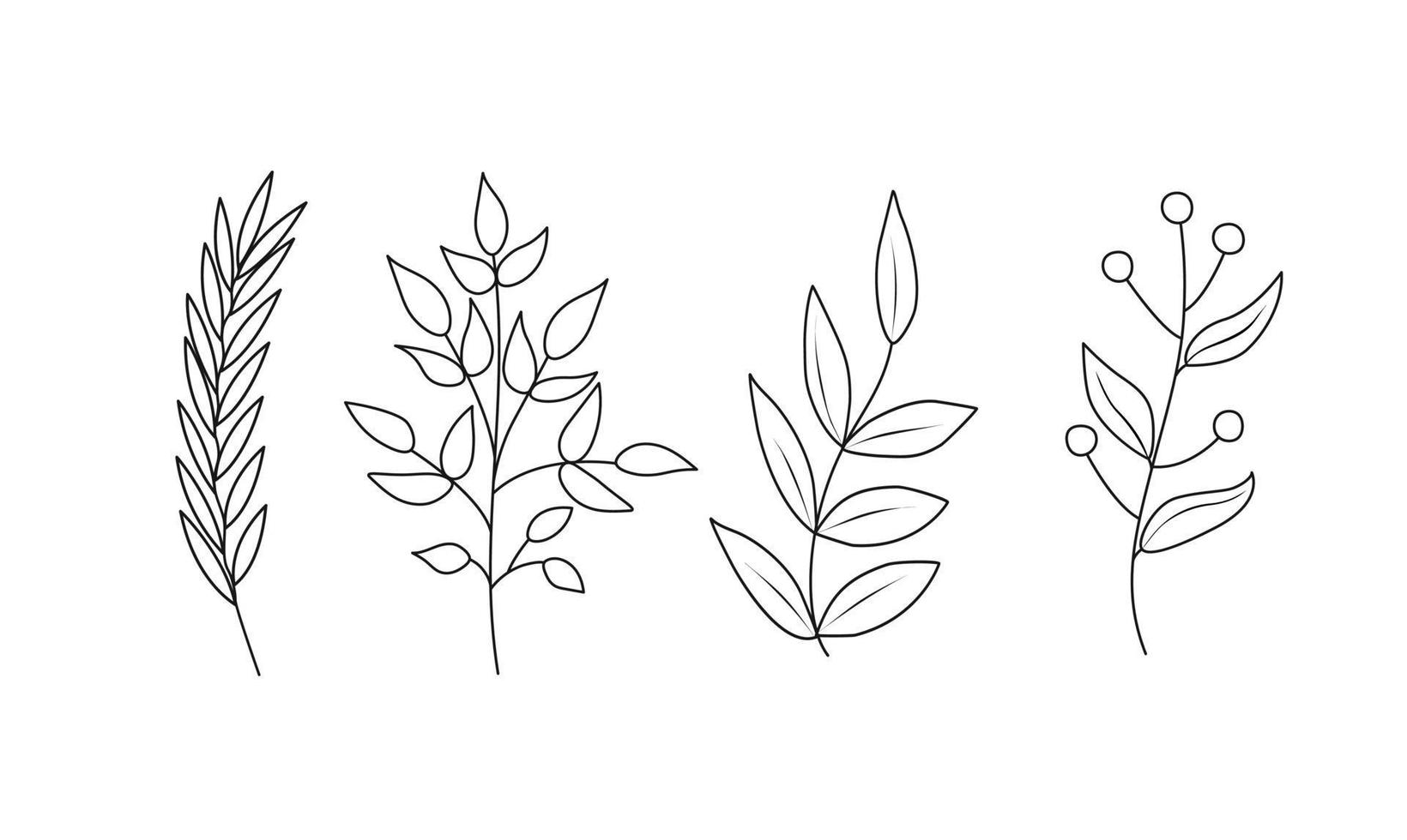 floreale impostato di mano disegnato botanico elementi. vettore illustrazione.