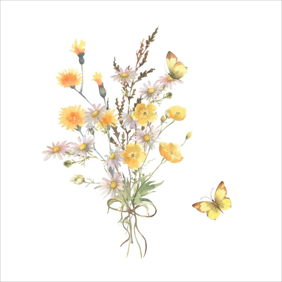 acquerello illustrazione, selvaggio fiore mazzo con campo erba, camomilla, ranuncolo e la farfalla, isolato su bianca sfondo. bene per cosmetici, medicinale, pacchetto, cartoline. vettore