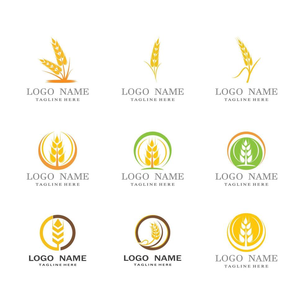 Grano logo modello vettore illustrazione design