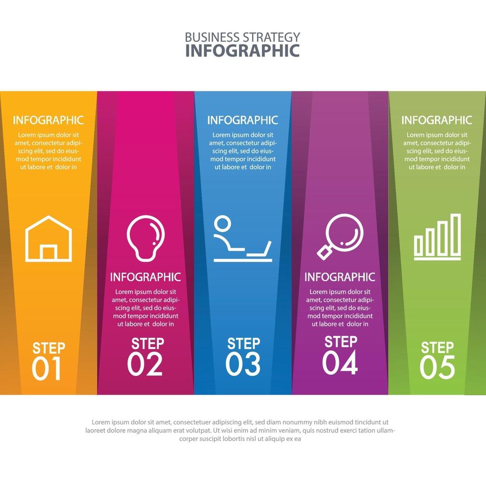 modello di progettazione infografica strategia aziendale cronologia vettore