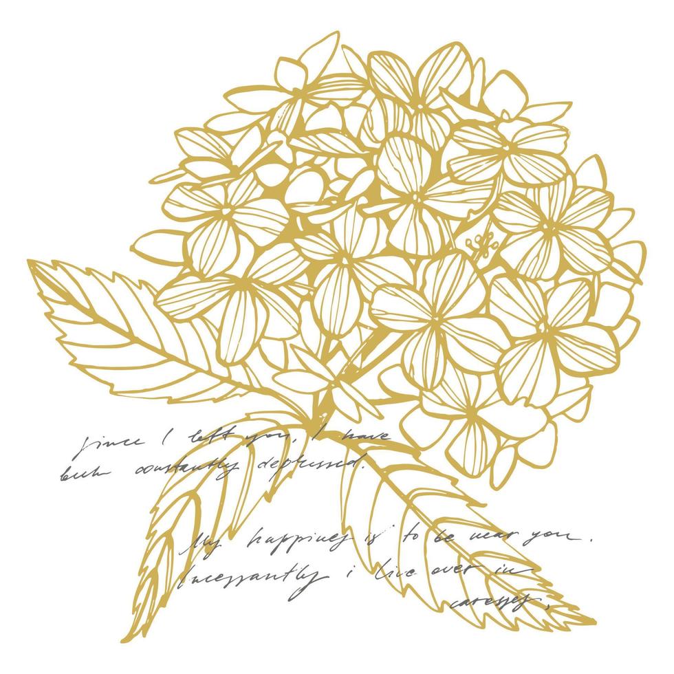 ortensia grafico illustrazione nel Vintage ▾ stile. fiori disegno e schizzo con Linea artistica su bianca sfondi. botanico pianta illustrazione vettore