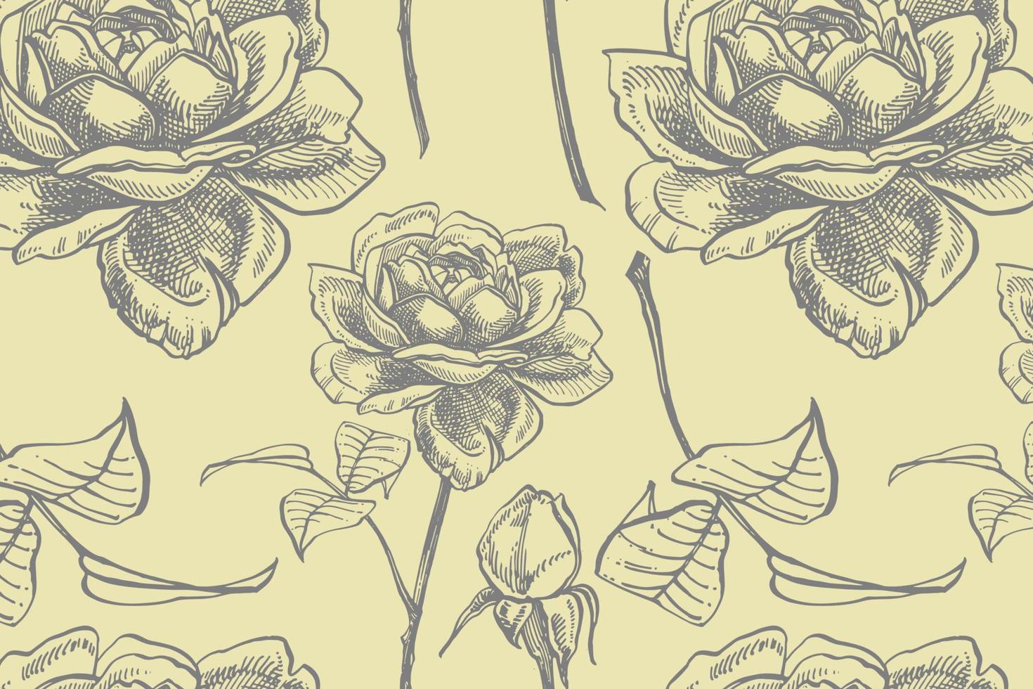 Rose. mano disegnato fiore impostato illustrazioni. botanico pianta illustrazione. Vintage ▾ medicinale erbe aromatiche schizzo impostato di inchiostro mano disegnato medico erbe aromatiche e impianti schizzo. senza soluzione di continuità modelli vettore