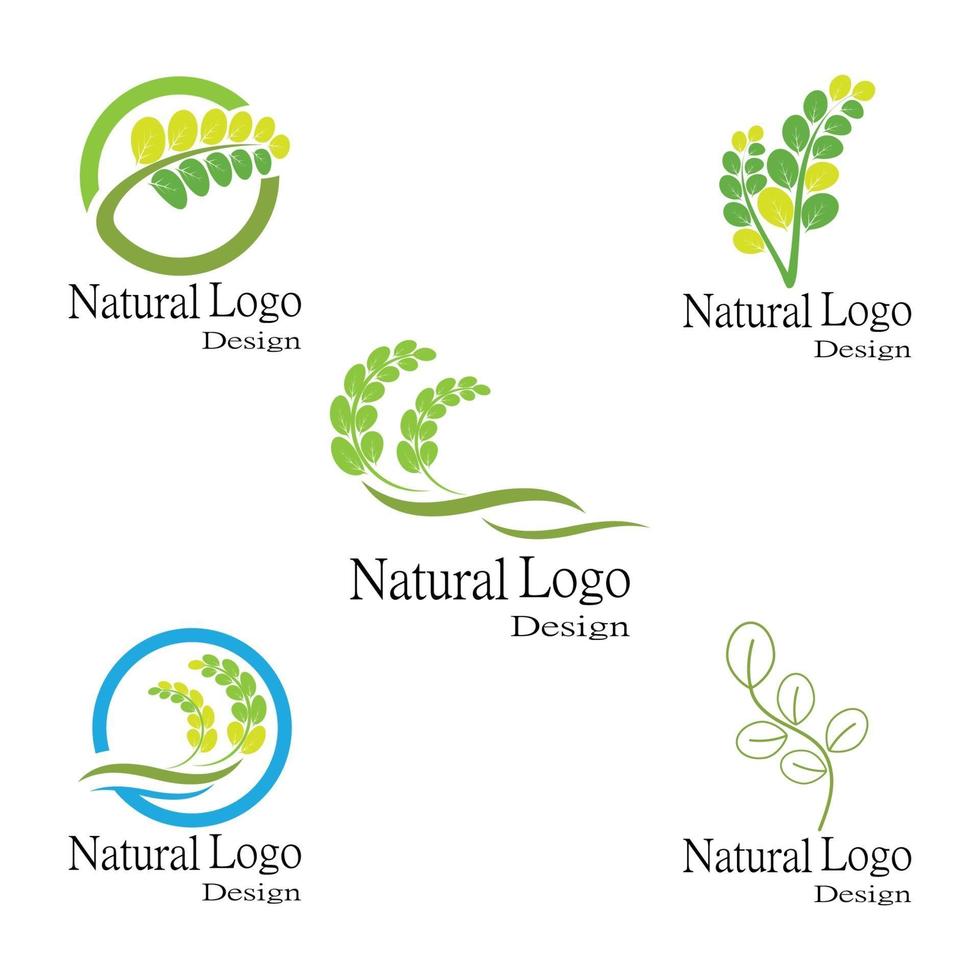 foglia icona illustrazione vettoriale design logo modello impostato