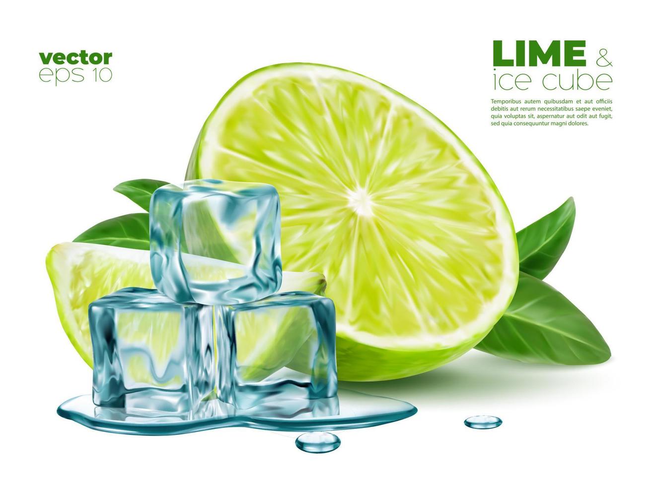 realistico lime frutta, fusione ghiaccio cubi e menta vettore