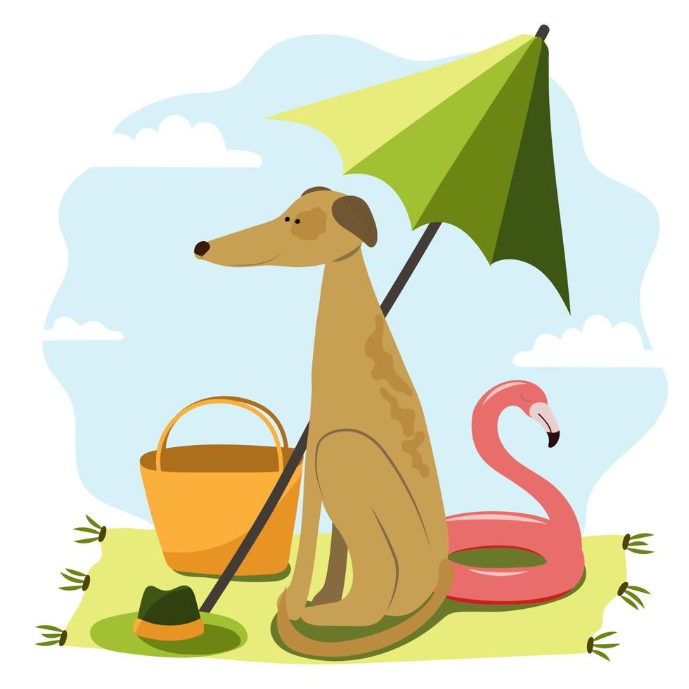 levriero cane è riposo su il spiaggia. biancheria da letto, cappello, Borsa, ombrello e gomma da cancellare squillo. estate Accessori vettore