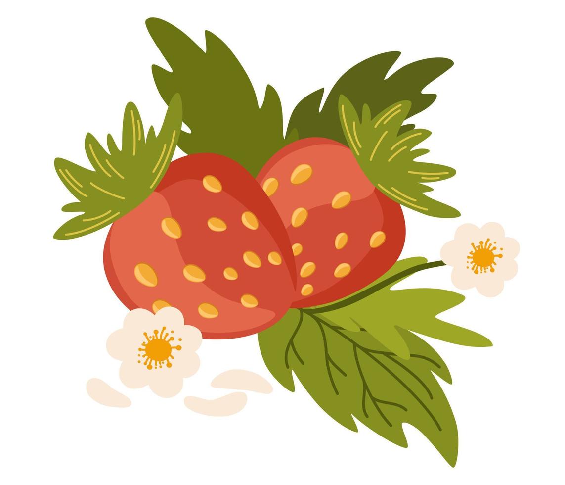 fragola frutti di bosco, le foglie e fiori. selvaggio foresta frutti di bosco. Perfetto per stampa, menù, ristorante, disegno, e ragnatela. disegnato a mano vettore illustrazione