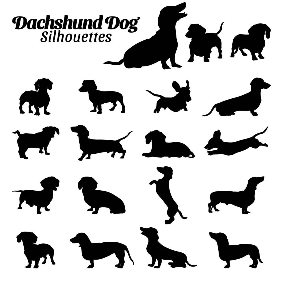 impostato bassotto cane silhouette vettore illustrazione.