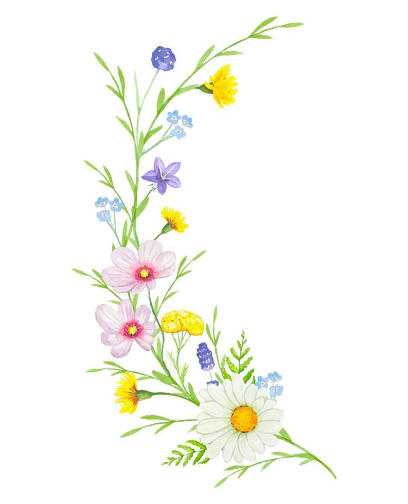 floreale composizioni con mano disegnato acquerello selvaggio erbe aromatiche e fiori. vettore