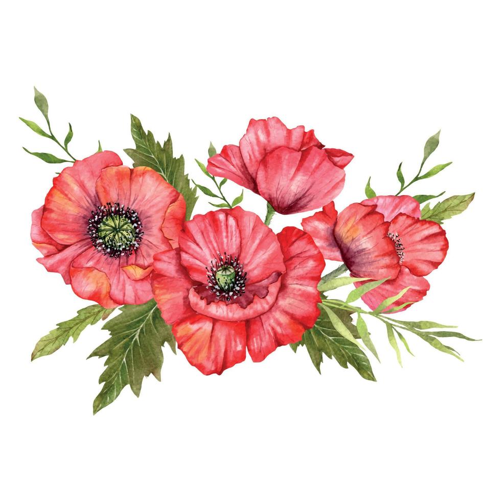 rosso papavero fiori acquerello illustrazione, mano dipinto fiori selvatici mazzo. Perfetto per nozze inviti, bridal doccia e floreale saluto carte vettore