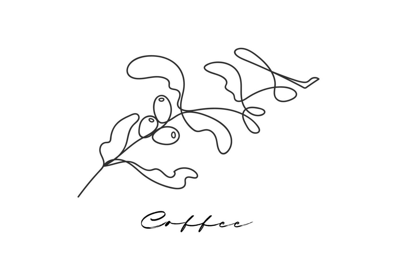 linea singola pianta del caffè su sfondo bianco. contorno disegno minimo. vettore